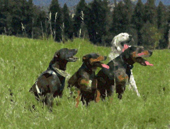 Pets — Finished