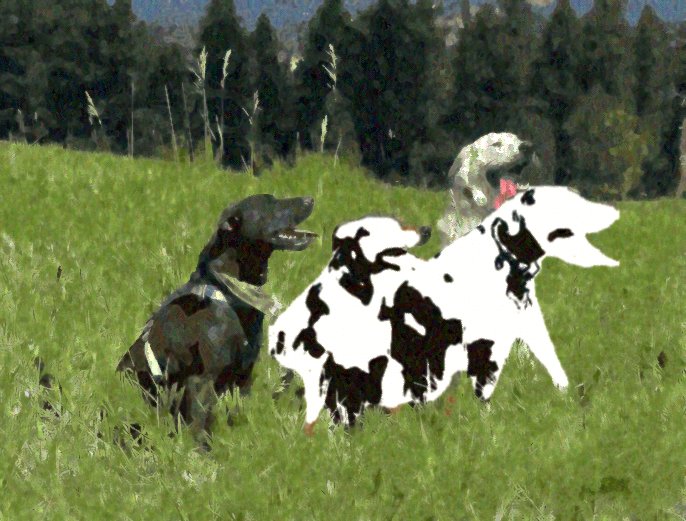 Pets — Guided steps