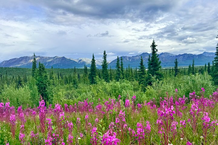 Landscapes — Your photo